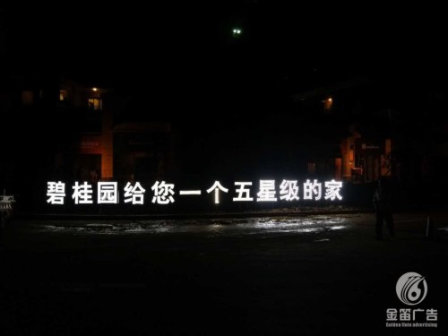 碧桂园给您一个五星级的家LED平面发光字制作