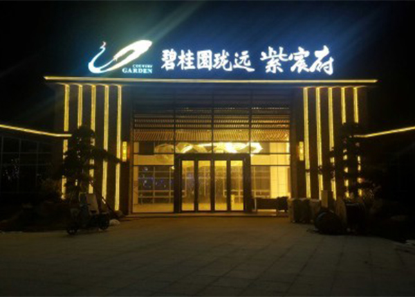 碧桂园房地产LED平面发光字
