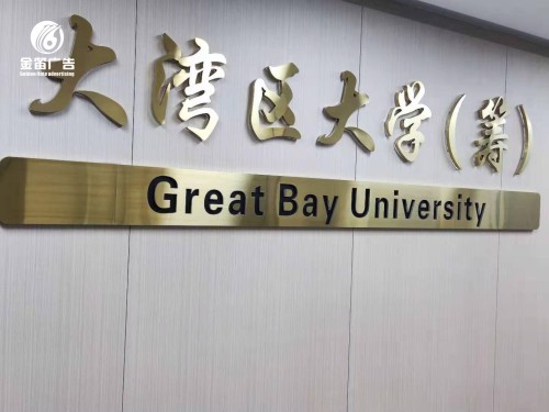 大湾区大学筹建LED背发光字 大湾区大学筹建LED背发光字