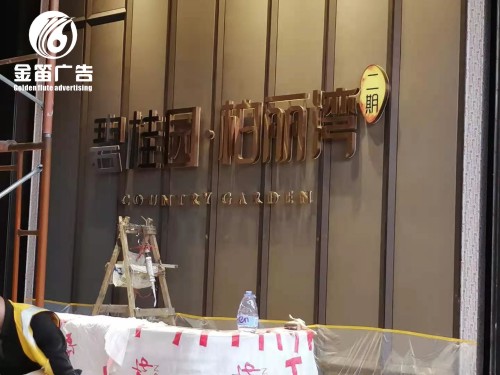 碧桂园柏丽湾精品LED背发光字制作安装厂家