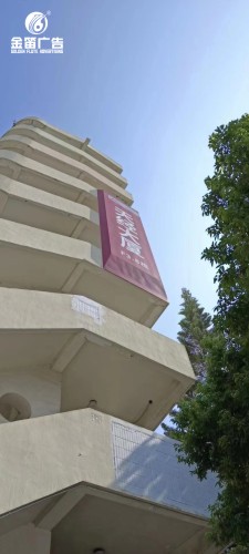 东莞天安运营楼宇广告牌